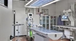 esami microscopici, interventi chirurgici animali, ortopedia animale