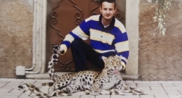 cliniche veterinarie, ospedale veterinario, servizi veterinari